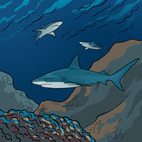 Kofenek poznaje planetę Ziemię - Ilustracja do odcinka 192: Nurkowanie – Rekin rafowy