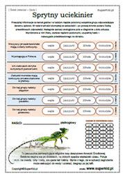 biologia klasa 6 - świat zwierząt - gady - cechy jaszczurek, krokodyli, węży i żółwi