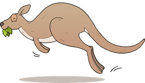 zwierzę miesiąca - kangur