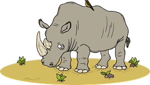 zwierzę miesiąca - nosorożec