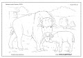 kolorowanki - bizon